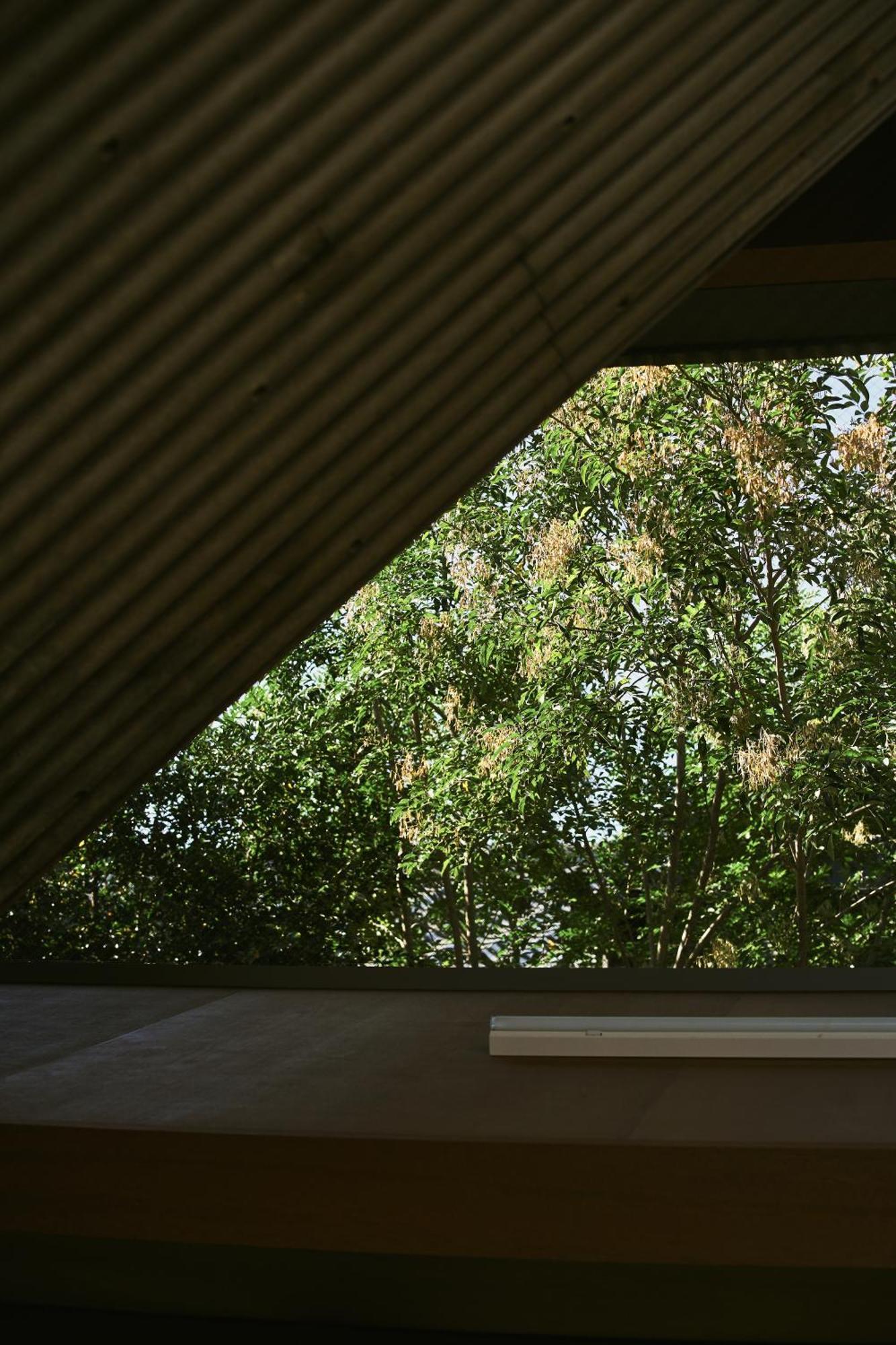 A&a Jonathan Hasegawa * Okayama
